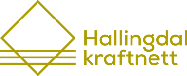 Hallingdal Kraftnett